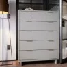 Manhattan Comfort Granville 45.27" Modern Tall Dresser with 5 Full Extension Drawers in Light Grey - Manhattan Comfort Granville 45.27" Modern Tall Dresser with 5 Full Extension Drawers in Light Grey