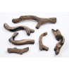 Driftwood 55