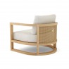 Anderson Teak Junus Lounge Armchair Back