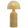 Modway Briar Rattan Table Lamp - Modway Briar Rattan Table Lamp