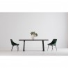 Moe's Home Collection Sedona Dining Chair in Velvet - Set of Two - Lifestyle