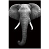 J&M Furniture Acrylic Wall Art Elephant | SB-61130 