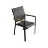 Bellini Home and Garden Essence Arm Chair - Side Angled - Bellini Home and Garden Essence Arm Chair - Side Angled