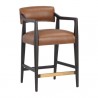 Sunpan Keagan Counter Stool in Shalimar Tobacco Leather - Front Side Angle