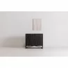 Moe's Home Collection Sierra 2 Door Cabinet in Black - Lifestyle - Moe's Home Collection Sierra 2 Door Cabinet in Black - Lifestyle