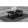 48" Art Deco Coffee Table with Italian engineered Veneers and High Gloss Black Lacquer Solid wood Frame - 48" Art Deco Coffee Table with Italian engineered Veneers and High Gloss Black Lacquer Solid wood Frame