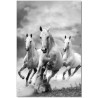 J&M Furniture Acrylic Wall Art Galloping Horses | SB-61081