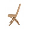 Tropico Folding Chair side 2 - Tropico Folding Chair side 2
