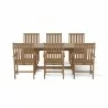 Anderson Teak Rectangular Extension Table and Wilshire Dining Armchair  - Anderson Teak Rectangular Extension Table and Wilshire Dining Armchair 