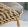 Cane-Line Hive Highback Chair W/Teak Legs Side Closeup - Cane-Line Hive Highback Chair W/Teak Legs Side Closeup