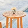 Vifah Kapalua Honey Eucalyptus Wooden Outdoor Bar Table, Top Angle - Vifah Kapalua Honey Eucalyptus Wooden Outdoor Bar Table, Top Angle