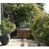Cane-Line Nest Round Chair  - Cane-Line Nest Round Chair 