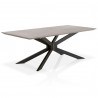 Essentials For Living Industry Rectangle Dining Table in Ash Gray Concrete and Distressed Black Iron - Angled