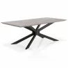 Essentials For Living Industry Rectangle Dining Table in Ash Gray Concrete and Distressed Black Iron - Angled - Essentials For Living Industry Rectangle Dining Table in Ash Gray Concrete and Distressed Black Iron - Angled