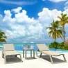 Compamia Rio Sling Chaise Frame Sling DVR - Compamia Rio Sling Chaise Frame Sling DVR