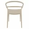 Compamia Mila Dining Arm Chair (Dove Gray) - Back - Compamia Mila Dining Arm Chair (Dove Gray) - Back