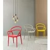 Compamia Mila Dining Arm Chair - Assorted - Compamia Mila Dining Arm Chair - Assorted