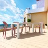 Compamia Snow Dining Chair in Marsala - Lifestyle