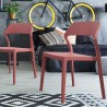 Compamia Snow Dining Chair in Marsala - Lifestyle 2