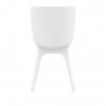Compamia Mio PP Modern Dining Chair - White with White Legs