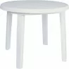 WHITE - WHITE