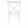 Cross Resin Outdoor Chair White - Back - Cross Resin Outdoor Chair White - Back