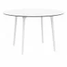 Lisa Round 47 inch White Table - Lisa Round 47 inch White Table