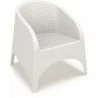Aruba Resin Wickerlook Chair - White - Aruba Resin Wickerlook Chair - White