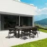 Compamia Panama California 7-Piece Extendable Dining Set - Brown - Compamia Panama California 7-Piece Extendable Dining Set - Brown
