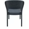 Daytona Resin Wickerlook Dining Chair Brown - Back - Daytona Resin Wickerlook Dining Chair Brown - Back