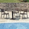 Capri Resin Dining Arm Chair - Brown - Set
