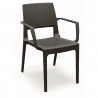 Capri Resin Dining Arm Chair - Brown