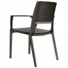 Capri Resin Dining Arm Chair - Brown