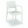 Capri Resin Dining Arm Chair - White - Capri Resin Dining Arm Chair - White