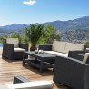 Monaco Resin Patio Loveseat with Cushion - Brown - Angled