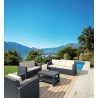 Monaco Resin Patio Loveseat with Cushion - Brown - Angled