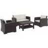 Compamia Monaco Resin Patio Seating 4 piece with Cushion -  Brown Set - Compamia Monaco Resin Patio Seating 4 piece with Cushion -  Brown Set
