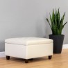 Sunpan Tucker Storage Ottoman Dillion Cream - Lifestyle