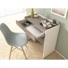Lulu Office Desk In White Wood Grain And Gray Melamine - Lifestyle Top Angled