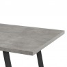 Armen Living Coronado Contemporary Dining Table In Gray Powder Coated Finish With Cement Gray Top  03