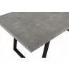 Armen Living Coronado Contemporary Dining Table in Grey Powder Coated Finish with Cement Gray Top - Side Close-Up - Armen Living Coronado Contemporary Dining Table in Grey Powder Coated Finish with Cement Gray Top - Side Close-Up