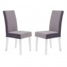 Dalia Modern and Contemporary Dining Chair in Grey Velvet with Acrylic Legs - Set of 2