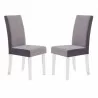 Dalia Modern and Contemporary Dining Chair in Grey Velvet with Acrylic Legs - Set of 2 - Dalia Modern and Contemporary Dining Chair in Grey Velvet with Acrylic Legs - Set of 2