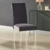 Dalia Modern and Contemporary Dining Chair in Grey Velvet with Acrylic Legs  - Dalia Modern and Contemporary Dining Chair in Grey Velvet with Acrylic Legs 