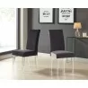 Dalia Modern and Contemporary Dining Chair in Grey Velvet with Acrylic Legs - Set of 2 Lifestyle Photo - Dalia Modern and Contemporary Dining Chair in Grey Velvet with Acrylic Legs - Set of 2 Lifestyle Photo