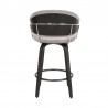 Armen Living Doral 26" Light Gray Velvet Barstool in Black Powder Coated Finish with Chrome and Black Brushed Wood Back