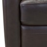 Armen Living  Desi Contemporary Swivel Accent Chair in Espresso Genuine Leather 002