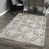 Daisy Contemporary Area Rug - Daisy Contemporary Area Rug