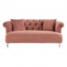 Elegance Contemporary Loveseat in Blush Velvet with Acrylic Legs - Front