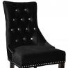 Armen Living Carlyle Tufted Velvet Side Chair with Nailhead Trim in Black Top